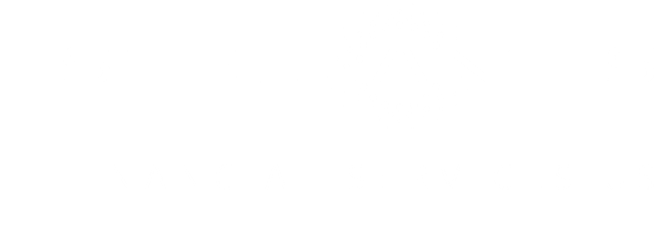 Stellantis brand logo